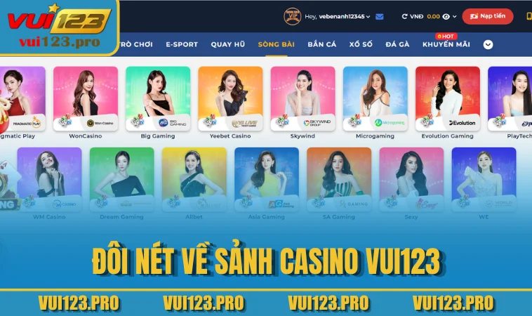 Đôi nét về sảnh Casino VUI123