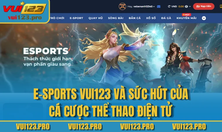 E-sports VUI123 và sức hút của cá cược thể thao điện tử