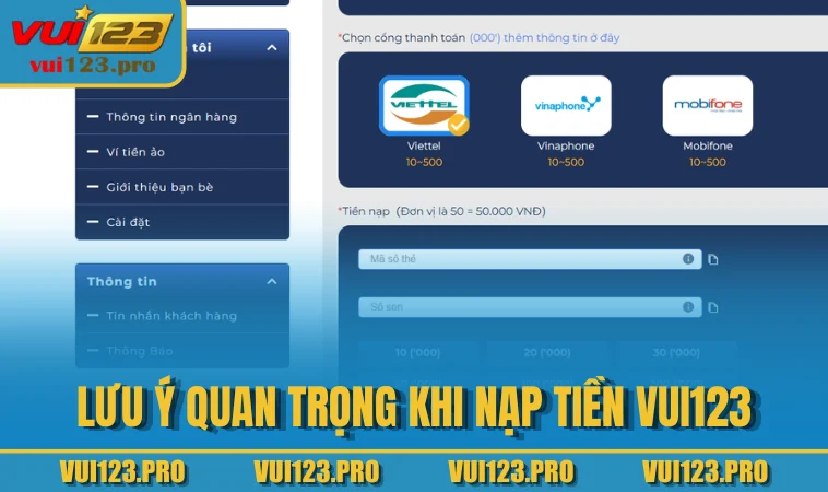 Lưu ý quan trọng khi nạp tiền VUI123