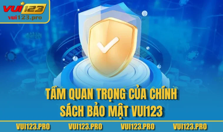Tầm quan trọng của chính sách bảo mật VUI123