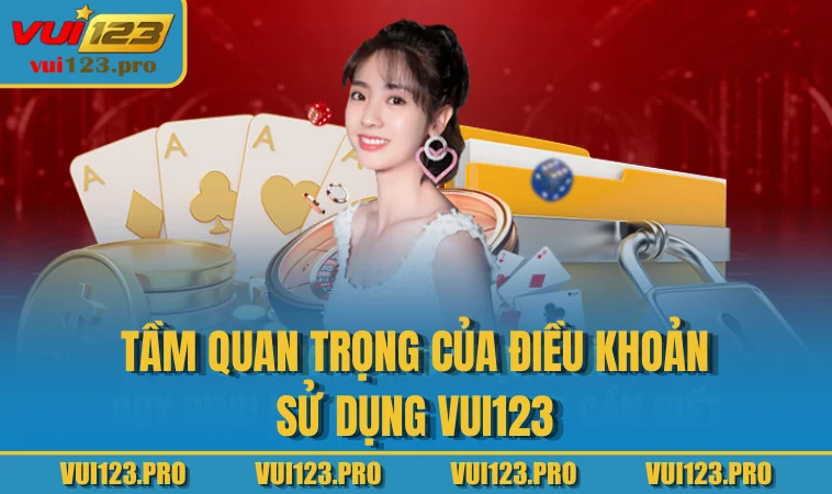 Tầm quan trọng của điều khoản sử dụng VUI123