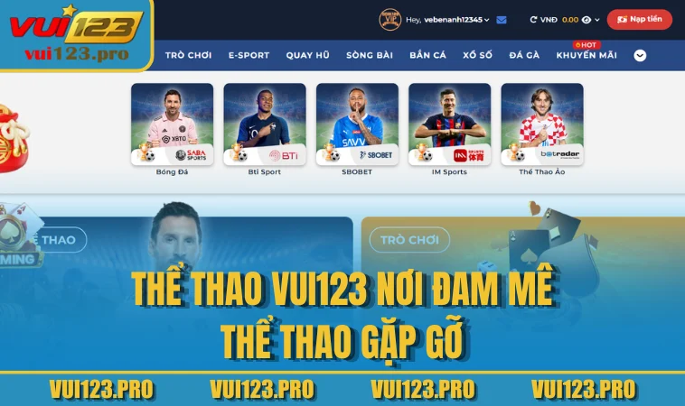Thể thao VUI123 nơi đam mê thể thao gặp gỡ