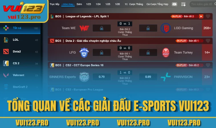 Tổng quan về các giải đấu E-sports VUI123