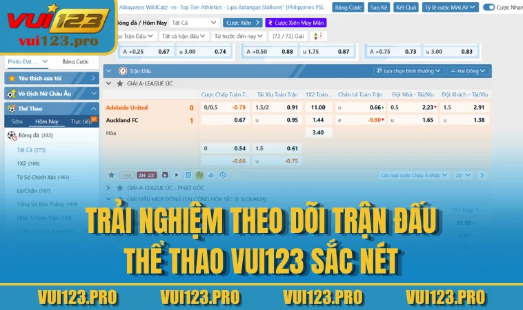 Trải nghiệm theo dõi trận đấu thể thao VUI123 sắc nét